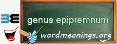 WordMeaning blackboard for genus epipremnum